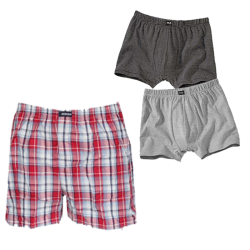 Boxer